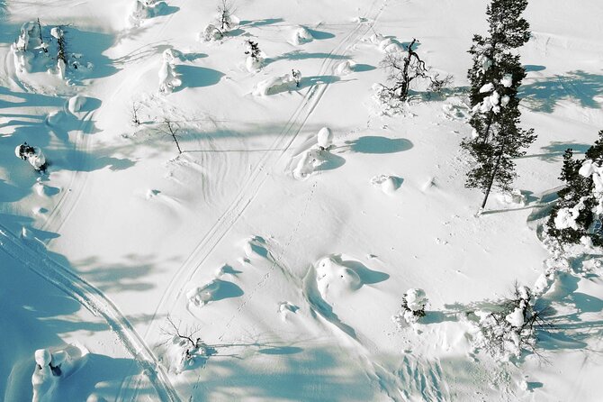Half Day Snowshoe Hiking Adventure in Levi Lapland - Booking Information