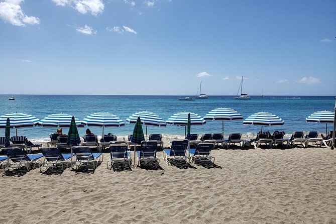 Half Day St. Kitts Party Bus City Excursion and Beach - Accessibility and Age Requirement