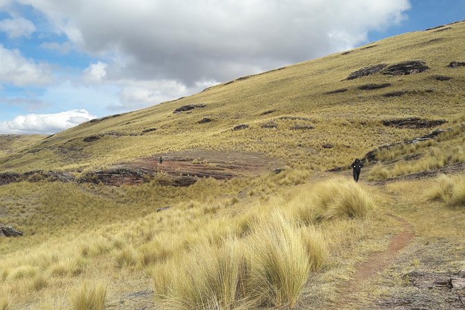 Half Day Tour Portal Aramu Muru From Puno - Booking Details and Flexibility