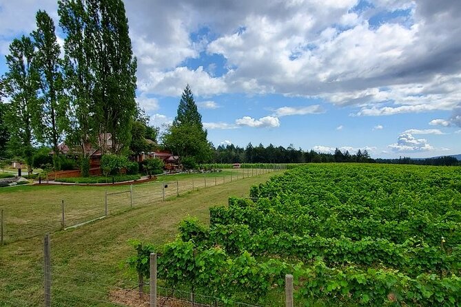 Half-Day Victoria to Cowichan Valley Wine Tour With Tastings - Whats Included in the Tour