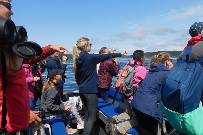 Half-Day Whale Watching Adventure From Telegraph Cove - Wildlife Sightings