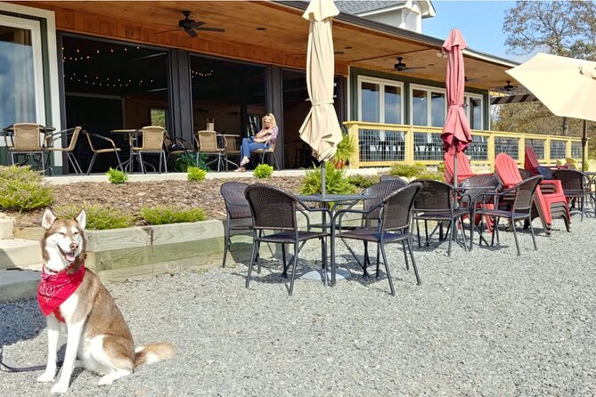 Half-Day Wine Tastings in the North Georgia Mountains - Recommendations and Additional Info
