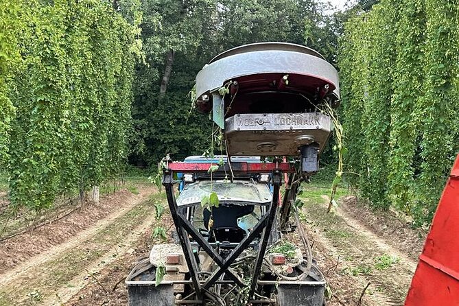 Hallertau Experience With Hop Harvest, Lunch and Hop Museum - Pricing and Policies