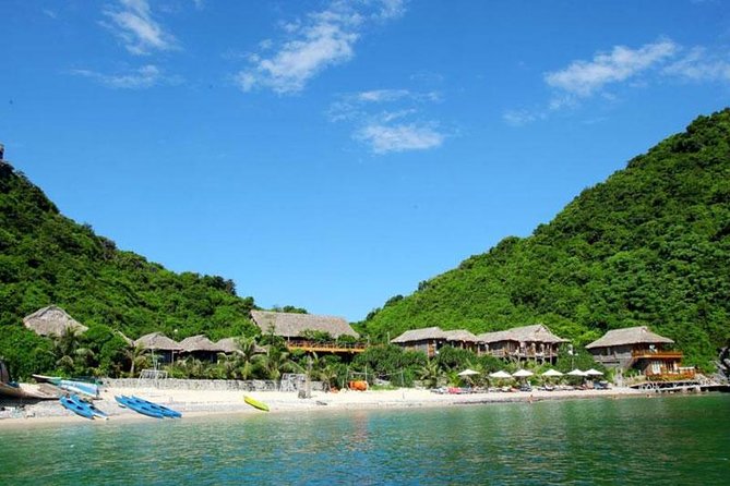 Halong Bay and Lan Ha Bay From Cat Ba Island: Cruise and Kayak Tour - Customer Experiences