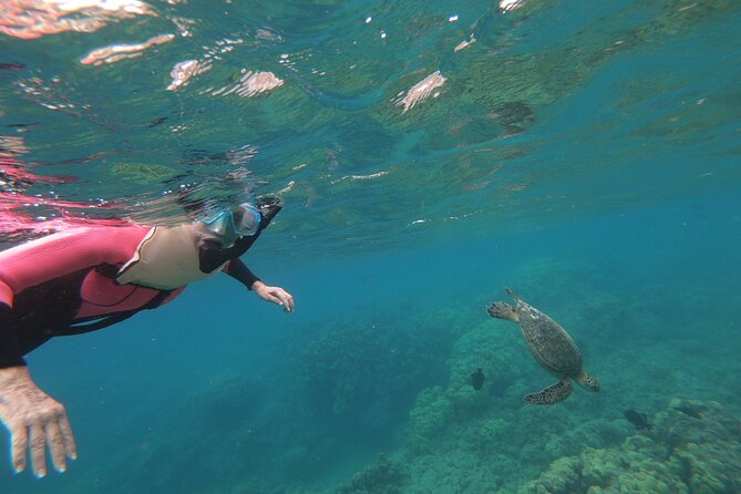 Hanauma Bay Guided Snorkeling Tour - Accessibility and Safety Considerations