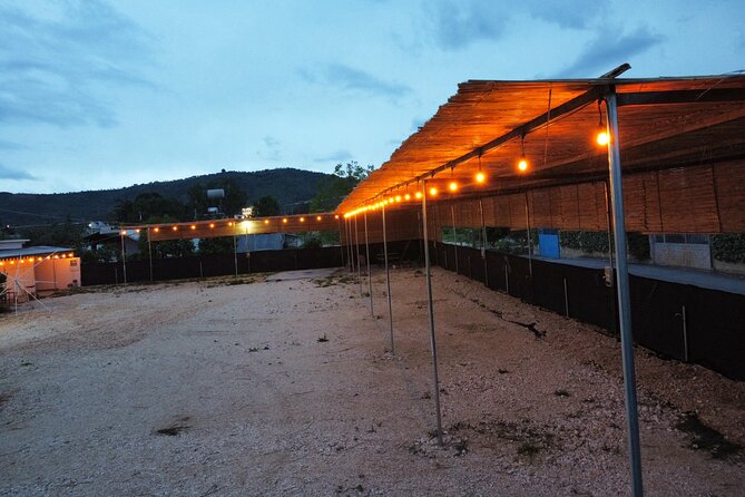 Happy Camping Berat: A Comprehensive Review - Highlights of the Experience