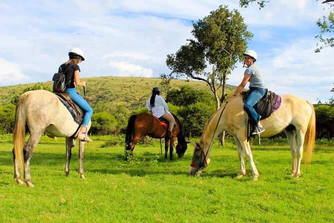 Harties Horse Trail Safari Half Day - Tips for Travelers