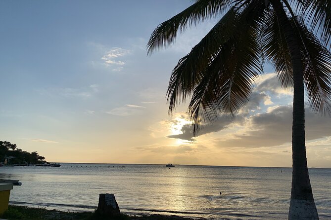 Healing Retreat, Beach and Bio Bay Tour in Puerto Rico - Reviews and Ratings