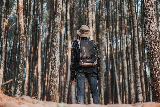 Healthy Eco-Finca and Pine Forest Experience - Reviews and Accessibility