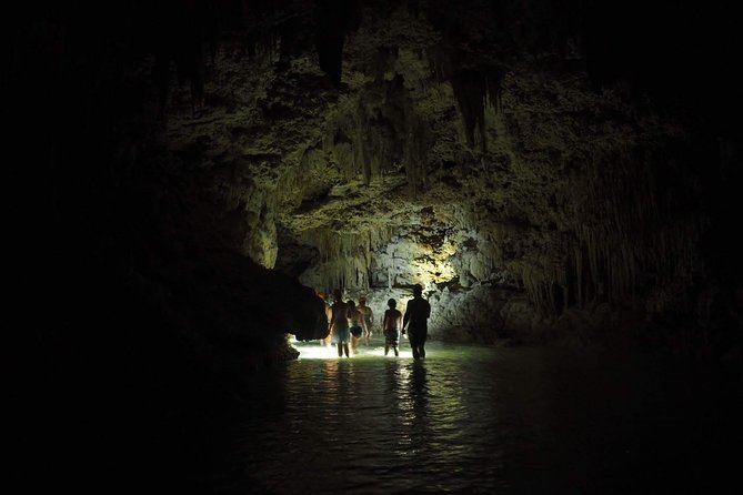 Hidden Cenote Exploration in Playa Del Carmen - Traveler Reviews and Highlights