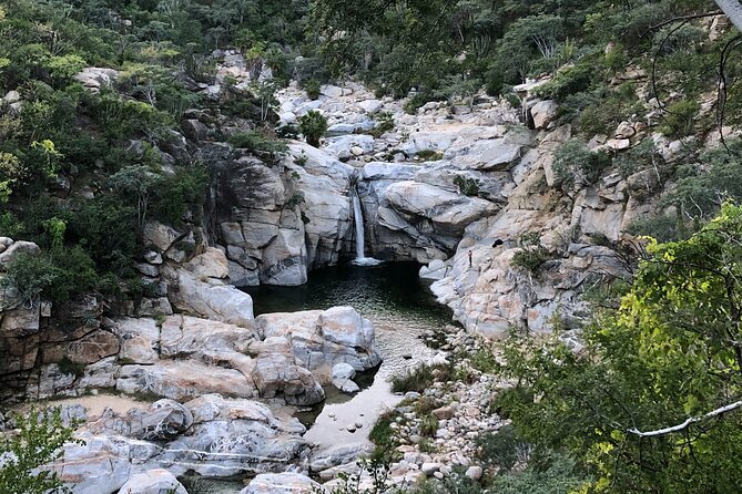 Hidden Waterfalls Hiking Adventure - Guide Expertise and Safety