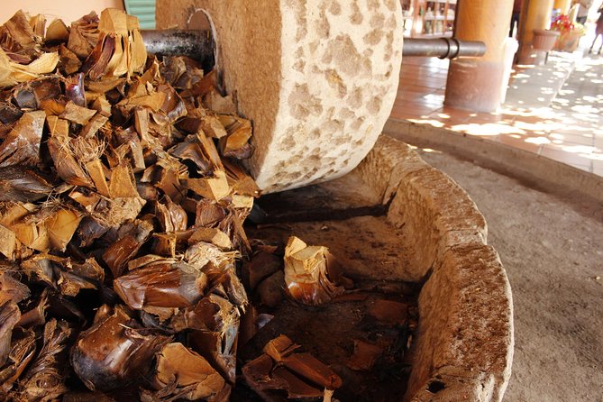 Hierve El Agua, Teotitlán Del Valle, Mezcal, the Tule, From Oaxaca - Discovering Zapotec Weaving