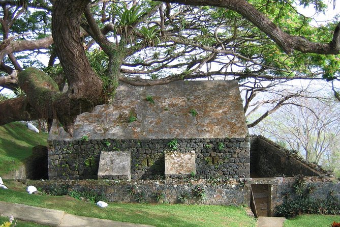 Highlights of Tobago Tour - Traveler Reviews: Negative Feedback