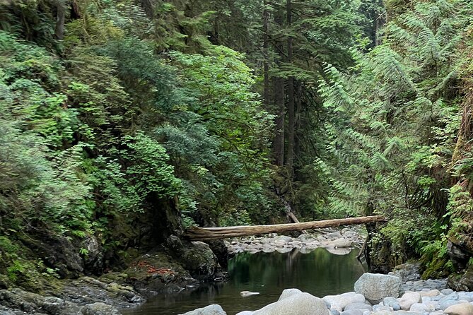 Hike Lynn Canyon and Bike Seymour Demonstration Forest - Health and Safety Guidelines