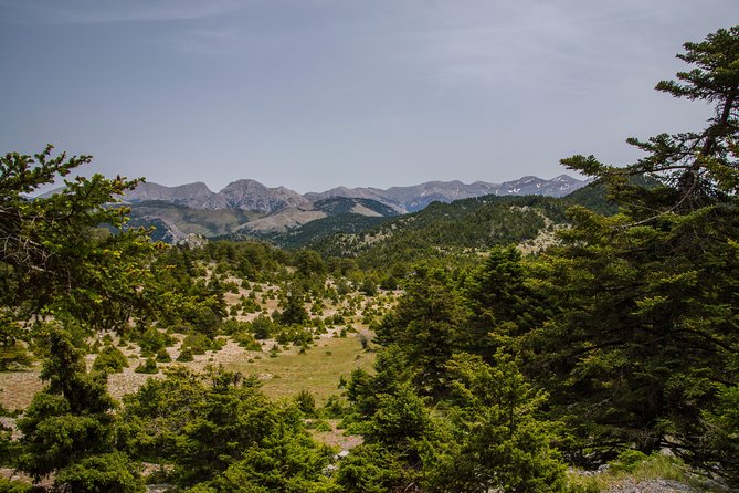 Hiking Above Kalamata - Additional Information