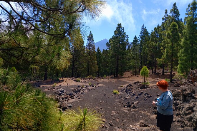 Hiking Classic Tenerife - Daily Itinerary