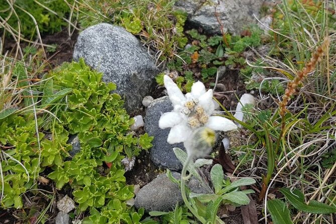 Hiking in Bucegi Mountains in the Carpathians, Private Tour - Reviews and Ratings