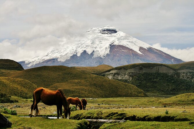 Hiking in the Andes – the Avenue of Volcanoes 6 Days - Frequently Asked Questions