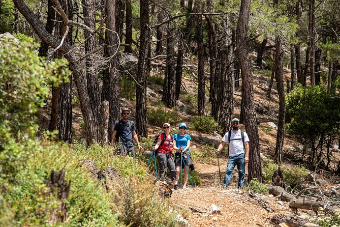Hiking Mountain Akramitis Rhodes - Pick up Service Available - Booking Information and Pricing