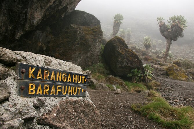 Hiking Mt Kilimanjaro 8 Days, the Most Scenic Route up Kili - Physical Fitness Requirements