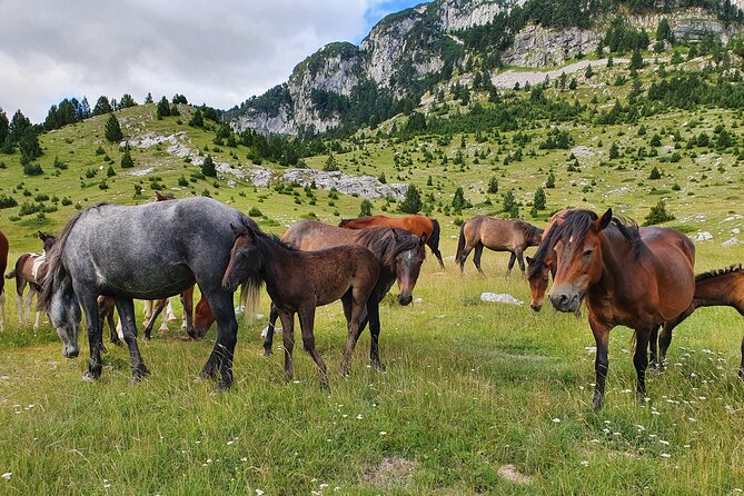 Hiking Prenj, Velika Kapa - Breathtaking Mountain Vistas