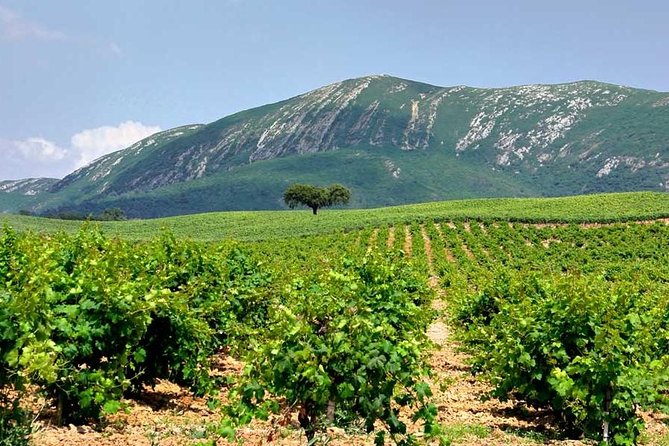 Hiking Tour to the Highest Point of Arrábida Mountain - Duration and Itinerary Details