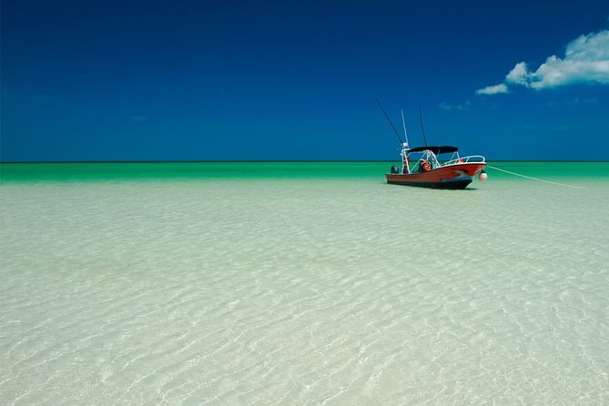 Holbox Island Full Day Trip With Lunch From Playa Del Carmen - Negative Customer Feedback