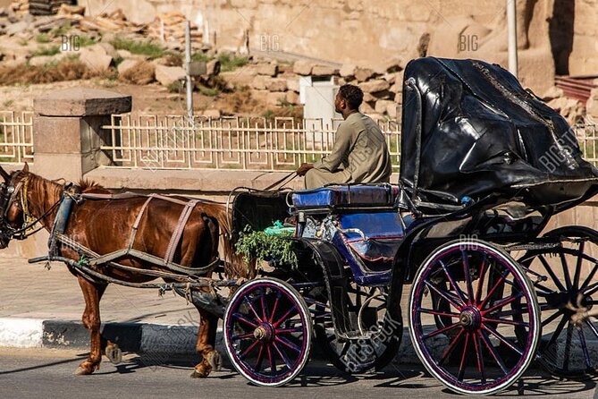 Horse Carriage City Tour in Luxor City With Meal and Soft Drink - Memorable Highlights