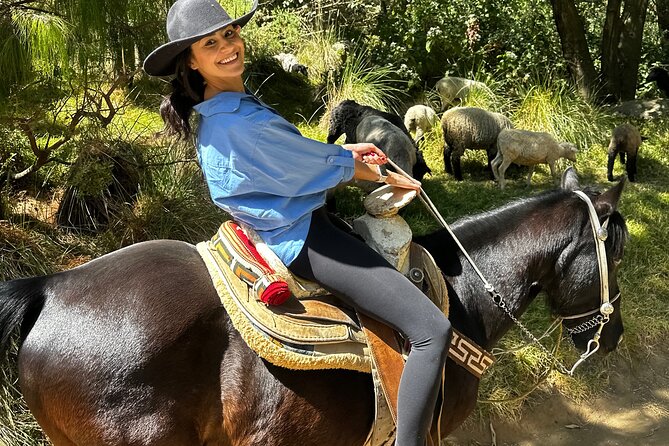 Horse Experience With My Family - Accessibility and Considerations