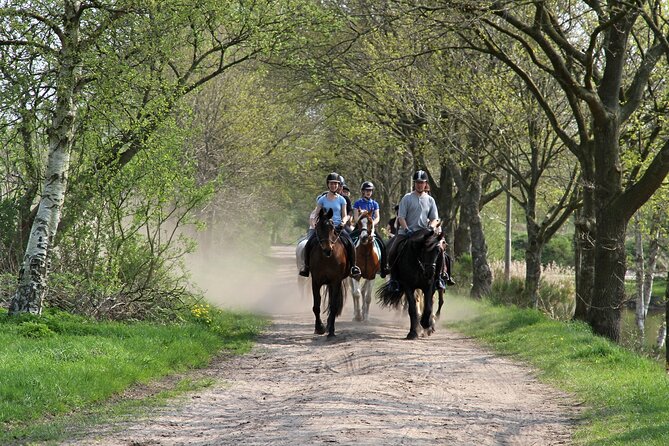 Horse Ride in Taghazout or Agadir - Booking and Pricing Details