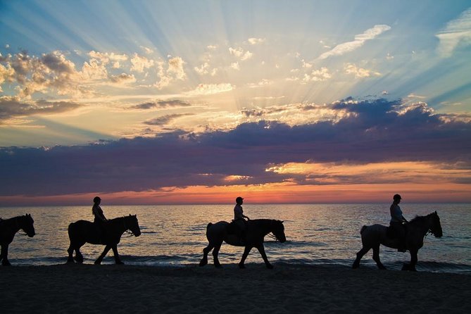 Horse Riding By The Beach With Hammam And Massage - Customer Feedback and Ratings