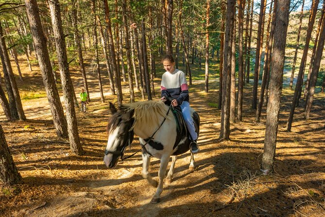 Horse Riding Experience From Bansko - Customer Reviews and Ratings