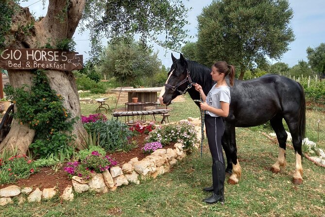 Horse Riding in the Gargano National Park - What to Expect During the Tour