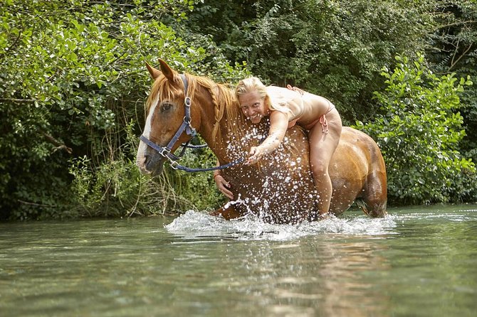 Horse Riding in Tuscany for Experienced Riders: Full-day Trail Ride - Reviews and Recommendations