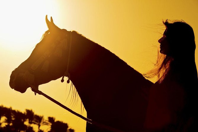 Horse Riding Tour on The Red Sea And Desert & Transfer-Hurghada - Criticism and Concerns