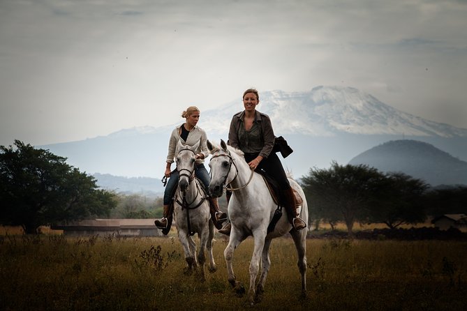 Horse Safaris in Tanzania - Booking and Confirmation