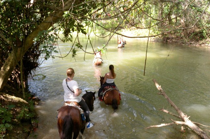 Horseback Riding Across Indigenous Trails Puerto Plata - Health Considerations