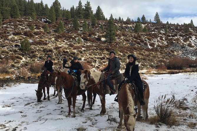Horseback Riding Adventure From Reno - What to Expect