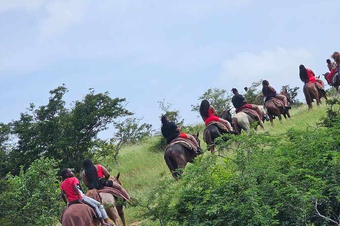 Horseback Riding at Hawksbill Beach in Five Islands Antigua - Positive Traveler Feedback
