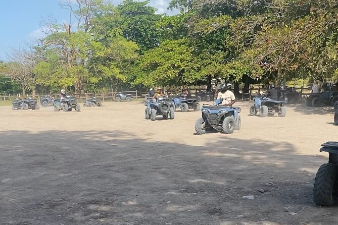 Horseback Riding, ATV & Ricks Café Combo Tour From Montego Bay - Experience Requirements