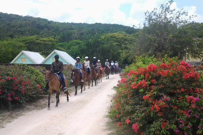 Horseback Riding Dunns River Falls Adventure From Montego Bay - Host and Communication