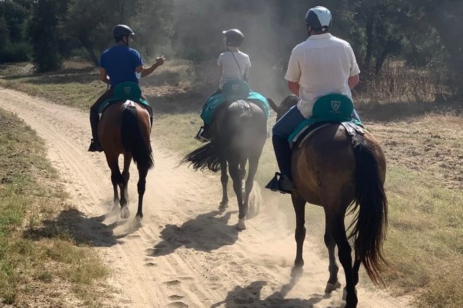 Horseback Riding Exclusive for Couples, in Doñana Natural Park, Seville - Tour Details and Inclusions