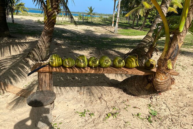 Horseback Riding - Experience Between Virgin Beach and Lagoon - Customer Reviews and Ratings