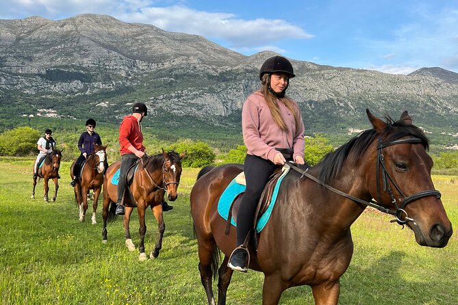 Horseback Riding Experience With Transport From Dubrovnik - Additional Information