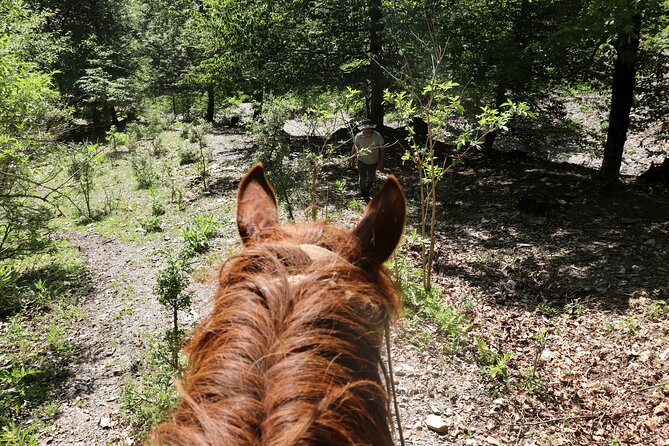 Horseback Riding in Azerbaijan - Exclusions to Consider