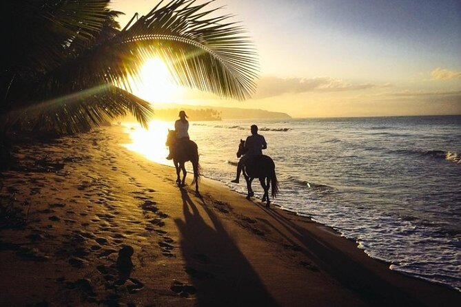 Horseback Riding in Punta Cana - Booking and Cancellation Policies