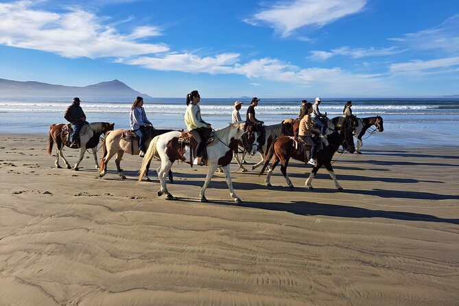 Horseback Riding on the Beach From Ensenada - Traveler Reviews and Feedback