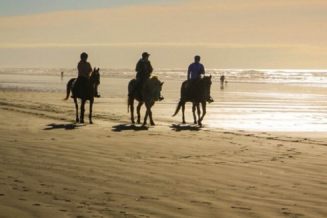 Horseback Riding on the Beach in Punta Cana (Two Hours) - Booking Information