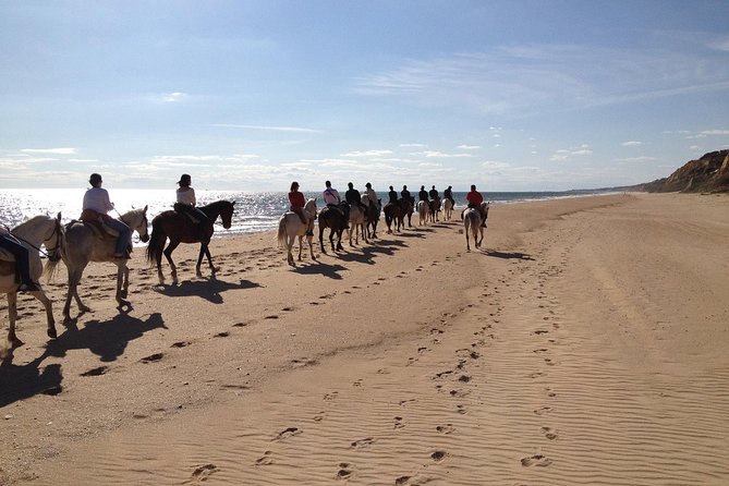 Horseback Riding Through Doñana Review - Since You Asked