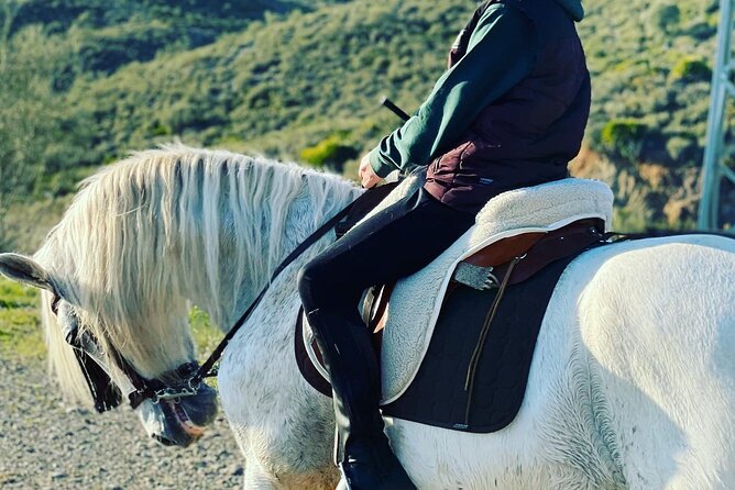 Horseback Riding With Certified Guide Review - Hosts Response to Feedback